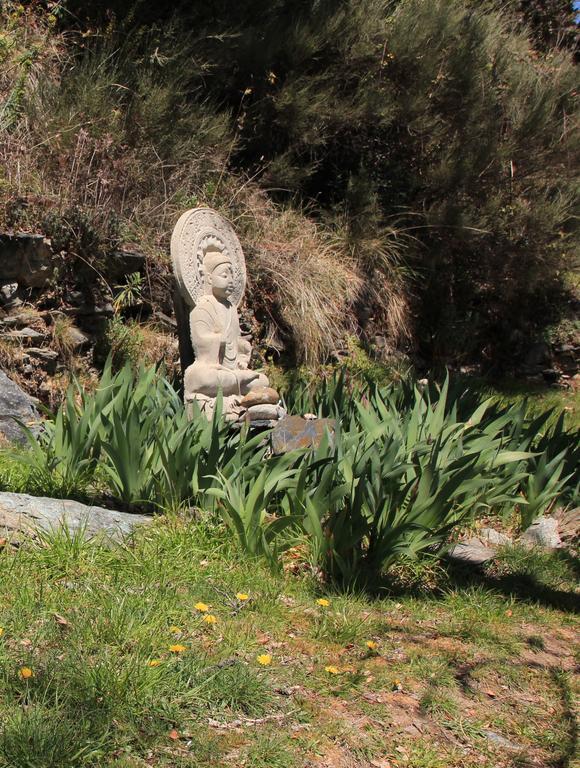 Hostal Rural Las Terrazas De La Alpujarra 부비온 외부 사진